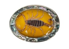 Hecho Mexico Real Scorpion