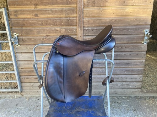 Inch brown albion - mw,