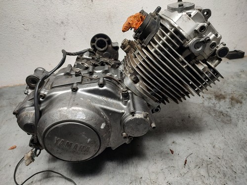Engine motor runs fine - motor, damaged