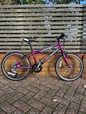 Islabike beinn small purple - beinn,