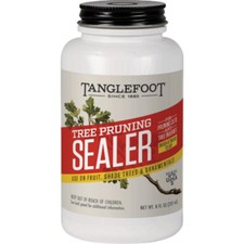 Tanglefoot Tree 8 Oz. Brushtop