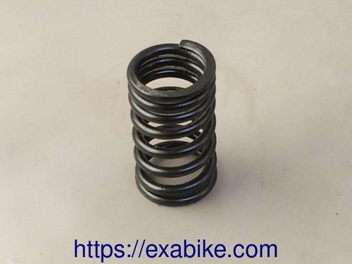 Valve spring for honda - for, 400