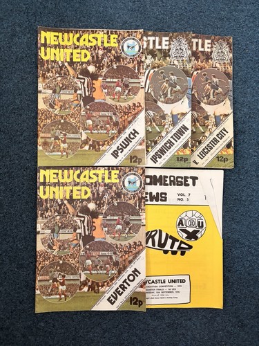 Newcastle united football - newcastle,