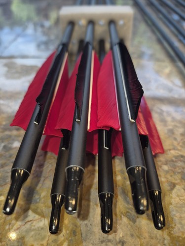 Archery carbon arrows - 6, 30''