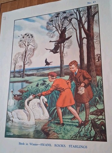 Macmillan educational poster - macmillan,