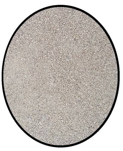 Ivory saw dust scatter - ivory,