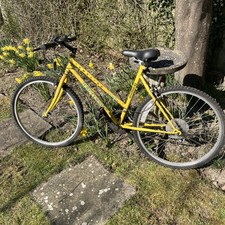 Townsend Girls Mountain Bike