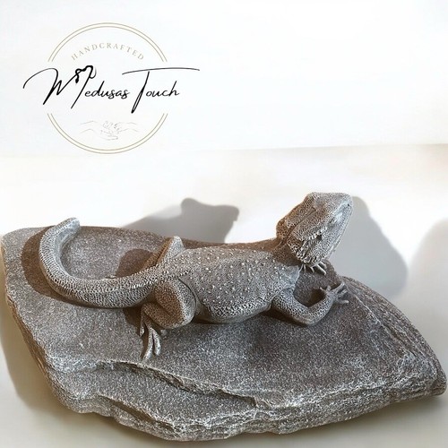 Bearded dragon life sized - dragon,