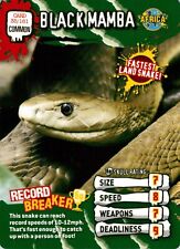 2008 World's Deadliest Animals