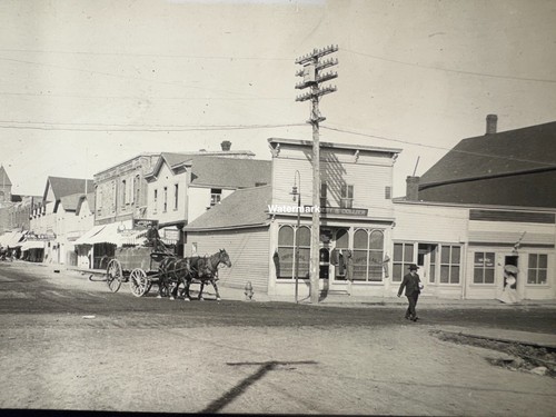 Antique photograph horse drawn - horse,