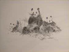 David Shepherd - Panda Pencil