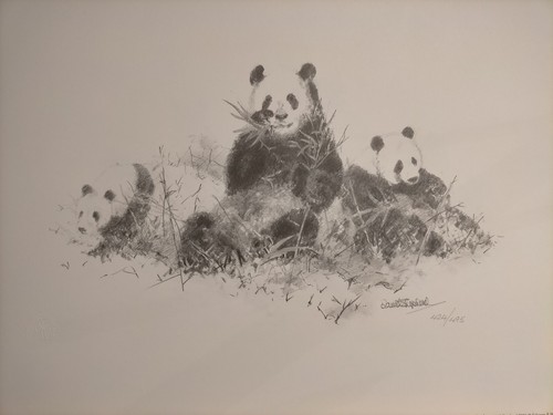 David shepherd panda pencil - david,