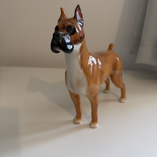 Vintage royal doulton boxer - vintage,