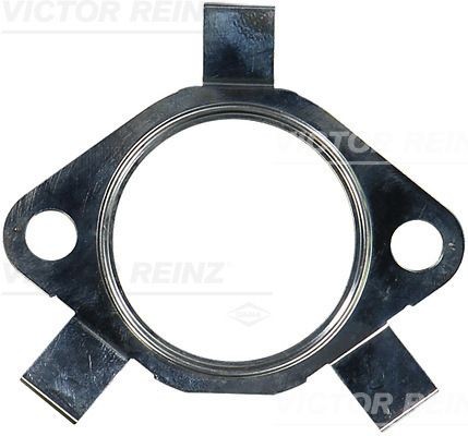 Fits victor reinz - ✅fits,