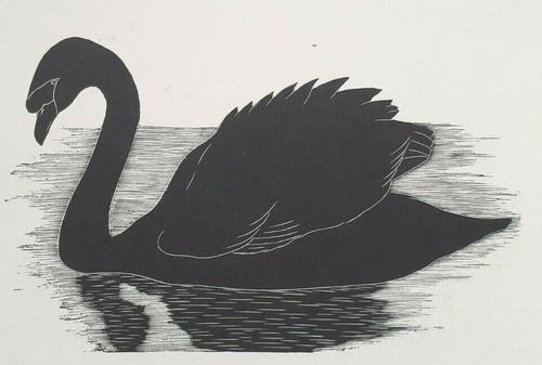 Daglish swan bird print - swan, of