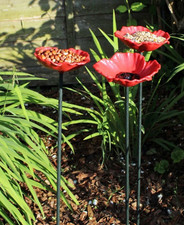 8 x Kingfisher Natures Market