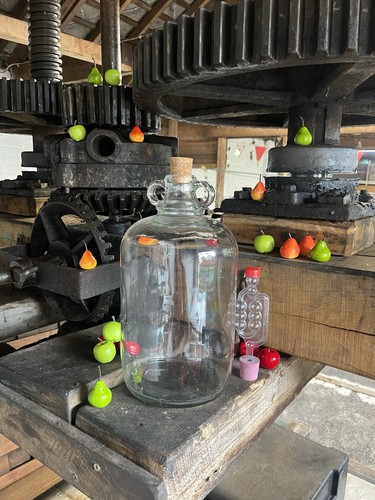 Glass 5litre demijohn with - 5litre,