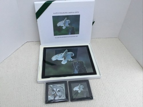 Snowy owl glass - placemat, &