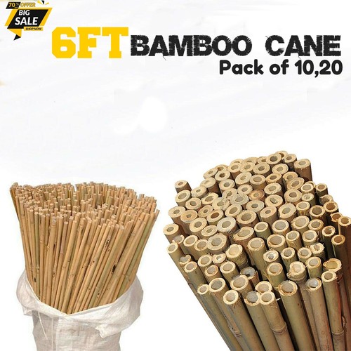 6ft heavy duty bamboo canes - 6ft,