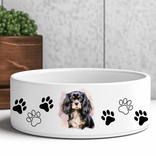 Ceramic dog food - -, water