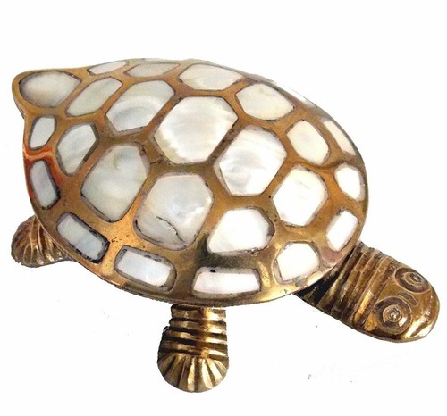 Wish fulfilling brass - wish, tortoise
