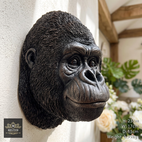 Gorilla head sculpture - head,