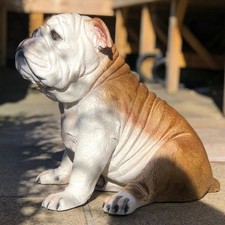 English Bulldog Statue Large