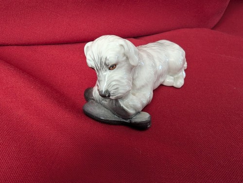 Branksome dog puppy chewing - dog,