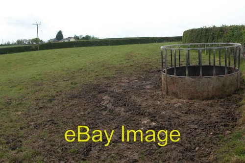 Cattle feeder near bircham - feeder,