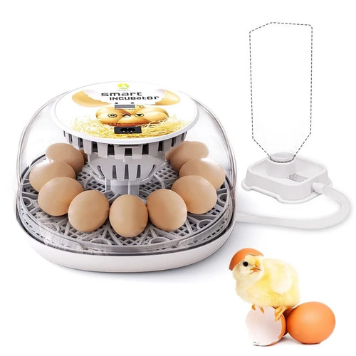 Egg incubator for hatching - egg,