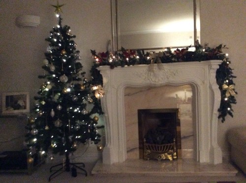 Louis white plaster fireplace - plaster,