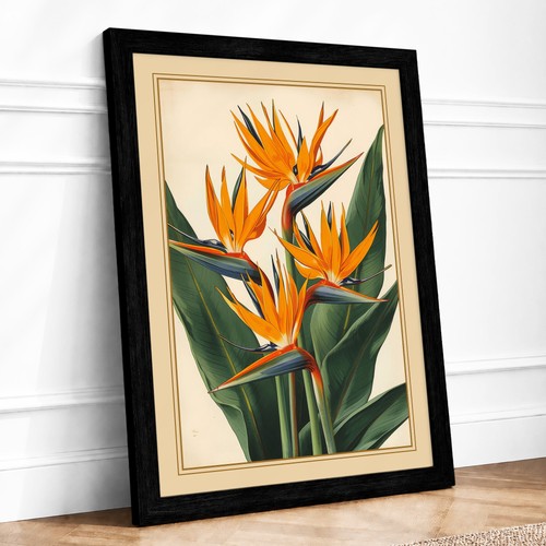 Bird paradise bloom - bird,