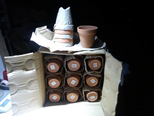 Terracotta clay plant pots - plant,