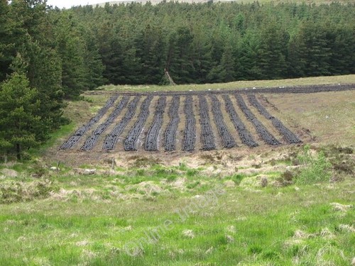 Photo 6x4 freshly cut - freshly, peat