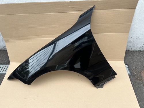 Front wing fender - front,