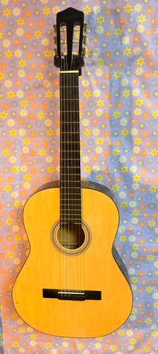 Elevation acoustic guitar - elevation,