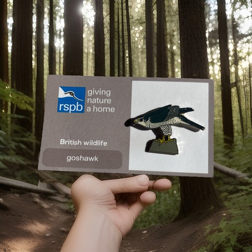 Rspb pin badge - rspb-pin, goshawk