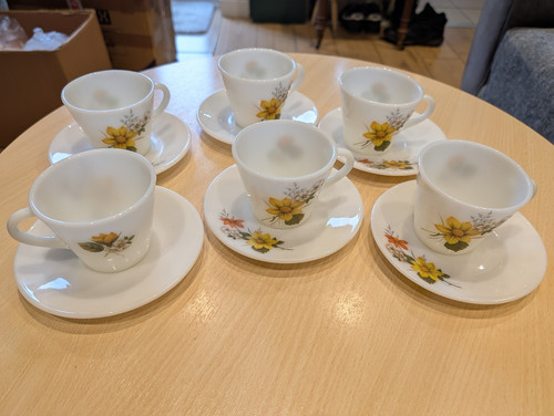Pyrex autumn glory - autumn, set