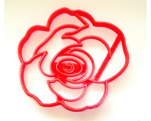 Flower rose bloom - 2,