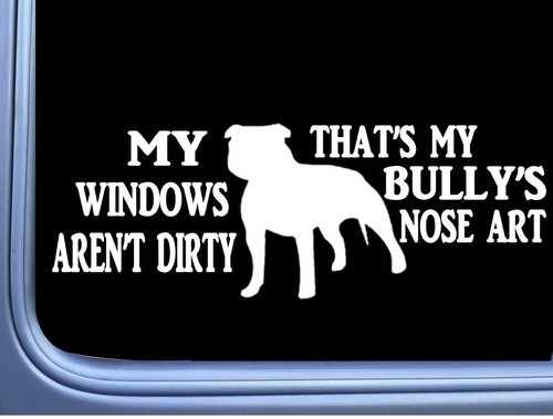 American bully sticker nose - american,