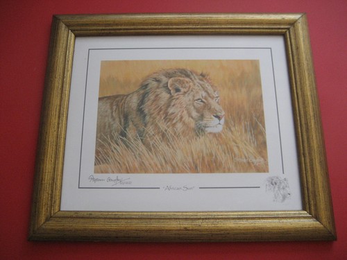 Stephen gayford african sun - gayford, "african