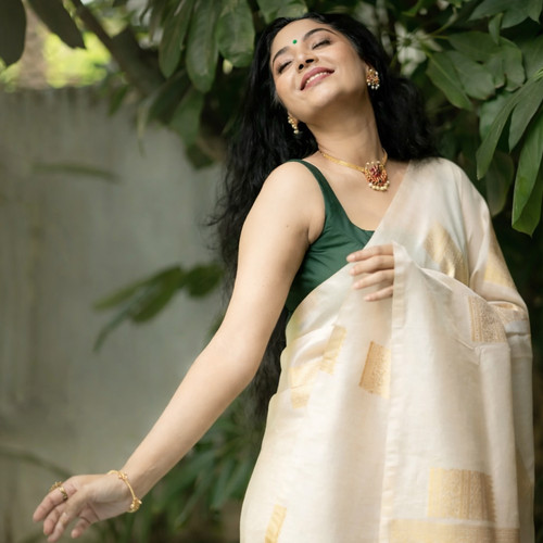Party wear saree blouse - saree,