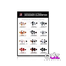 Designer Clownfish Poster - A3