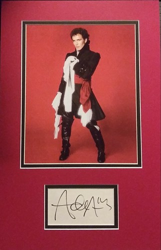 Adam ant signed - adam,