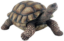 Large tortoise garden - tortoise,