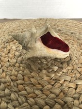 Vintage Souvenir Sea Shell Pin Cushion Conch Beach Nautical