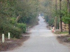 Photo 6x4 heath ride wick - photo,