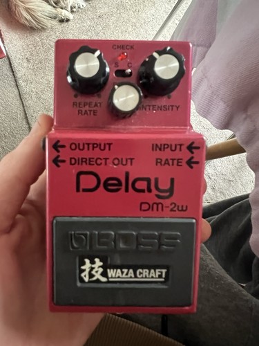 Boss delay effects pedal - dm-2w,