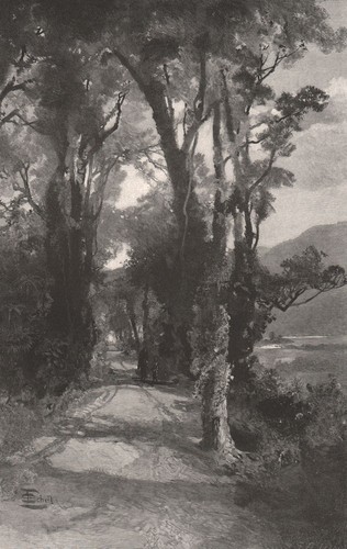 Road the teremakau new - on, teremakau.