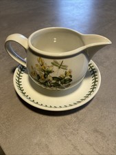 Portmeirion Botanic Garden